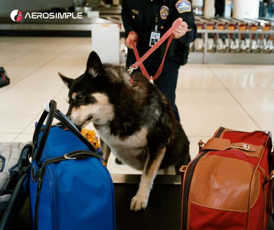 How To Improve Airport Security